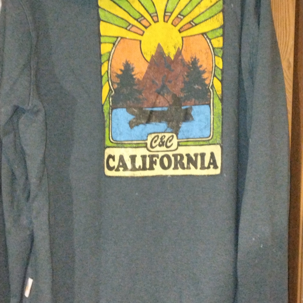 C&C California Men's Nature Graphic Hoodie - Gray/ Blue - XL